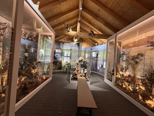 Ausstellung
