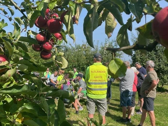 Radtour Herzapfelhof
