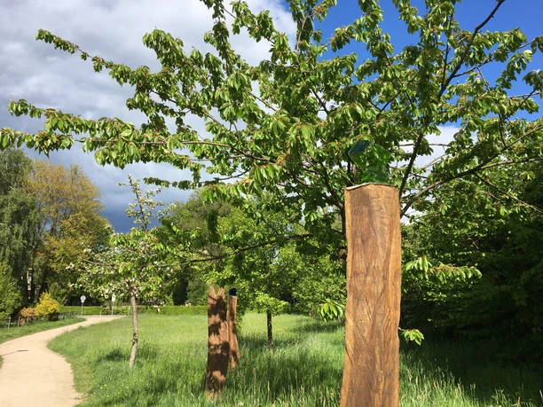 Grünzug Mühlenwiese