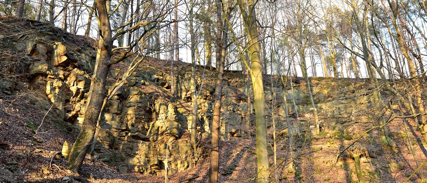 2026-05-03 Die Steinbrüche am Papenberg.jpg