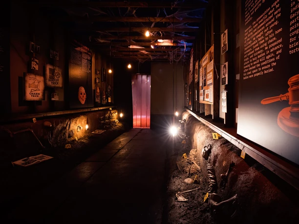Serienkiller - Die True Crime Ausstellung Dunkler Ausstellungsraum mit Infotafeln, beleuchteten Funden und markierten Skelettfragmenten.