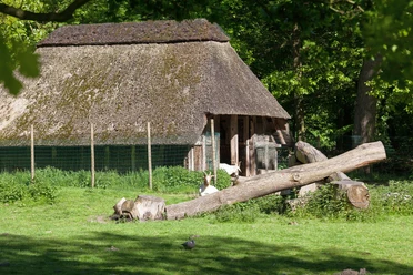 J6419 (c) Helmut Gross_Erlebnis Bremerhaven_WEB.jpg Outdoor-Tiergehege mit Ziegen und Reetdachhaus im Bürgerpark Bremerhaven