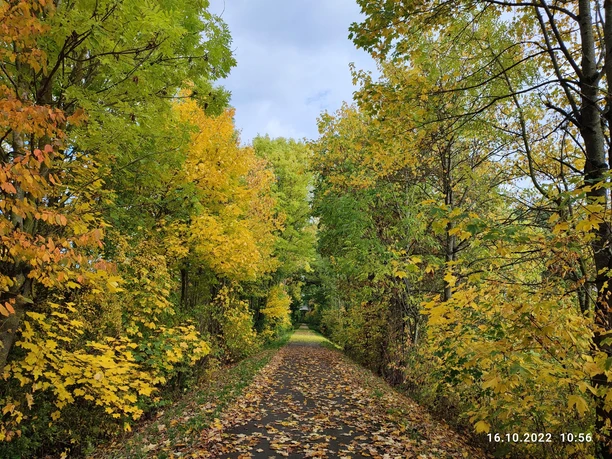 Bahnradweg im Herbst