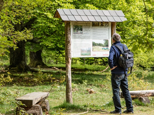 Wanderer am Infoschild im Halloh