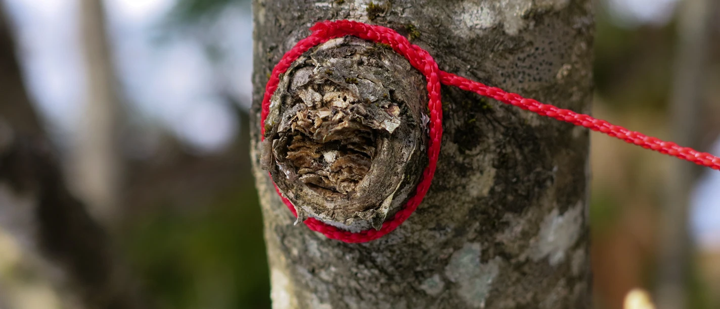 ars_eco_lab_Kunst_Natur_Retreat.JPG
