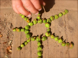 2026-05-31 LandArt.jpg