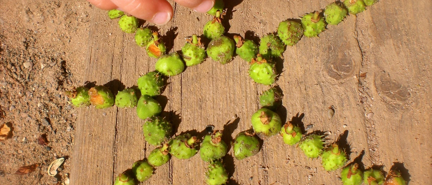 2026-05-31 LandArt.jpg