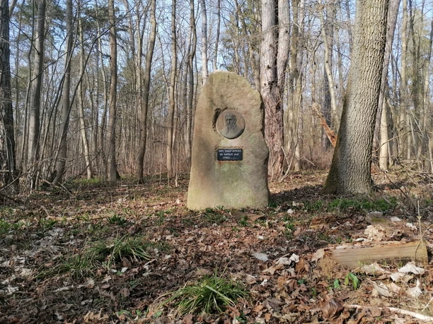 Domeier Gedenkstein Steinerner Gedenkstein mit Porträtmedaillon und Plakette auf laubbedecktem Waldboden.
