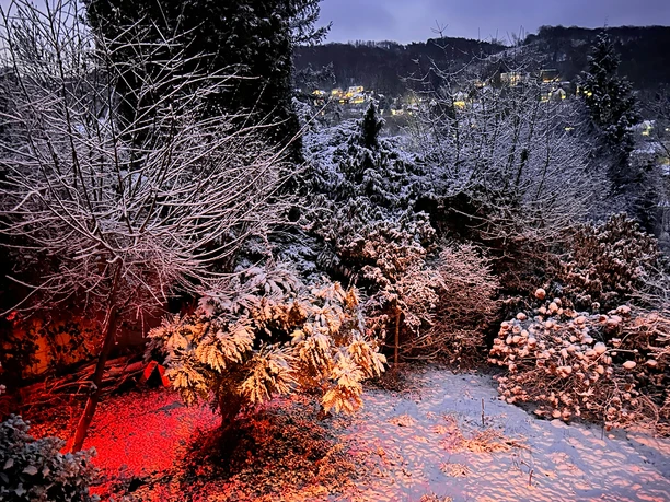 Schlaf gut im Scheunenfeld