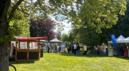 Musik im Park