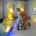 MoorIZ Ahlenmoor - Ausstellung Mann und Kind erkunden fasziniert ein beleuchtetes Moor-Diorama in der Ausstellung.
