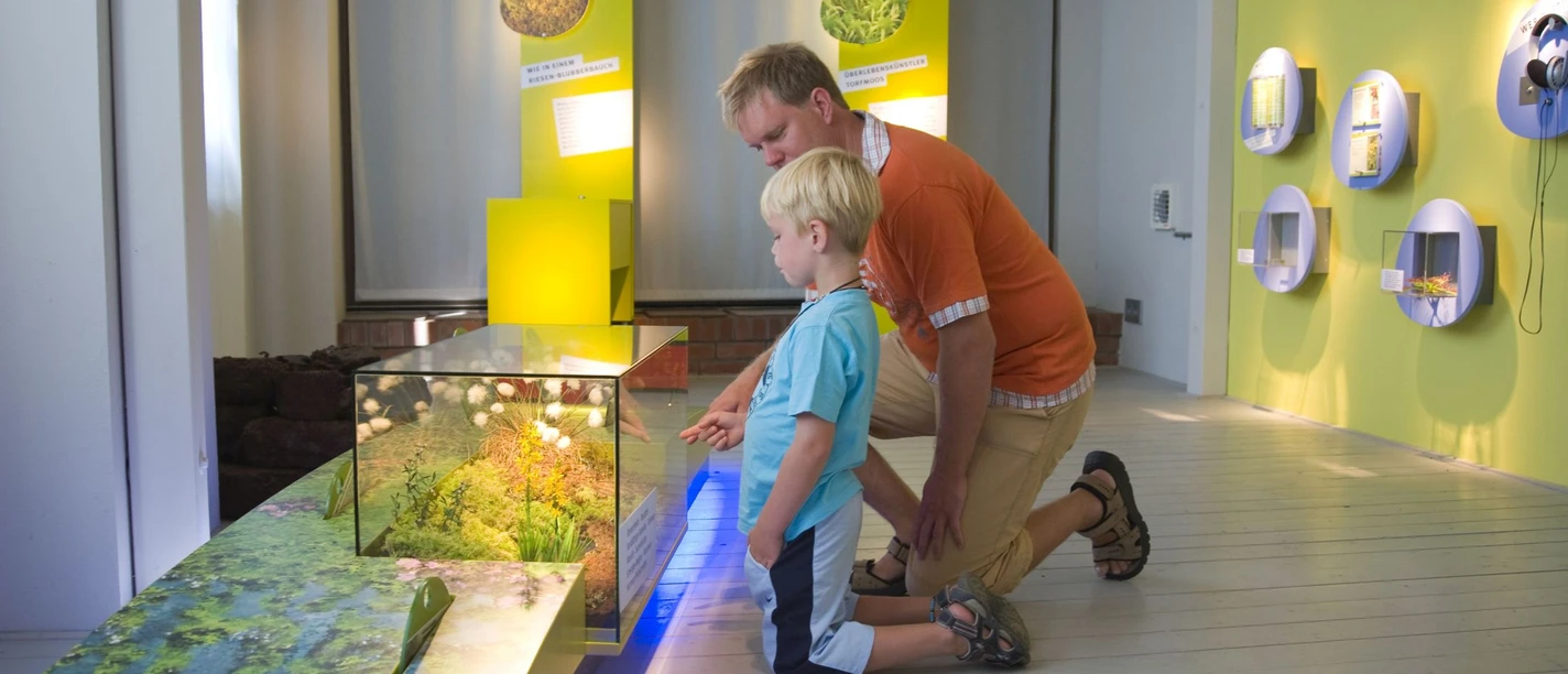 MoorIZ Ahlenmoor - Exhibition Man and child explore an illuminated moor diorama in the exhibition with fascination.