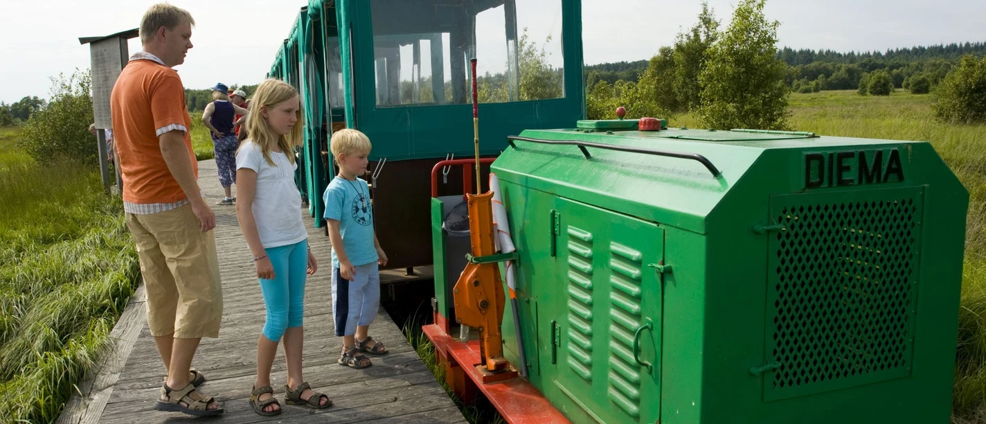 Moorbahn Ahlenmoor Familie auf einem Holzsteg entdeckt die grüne Moorbahn im sonnigen Ahlenmoor.