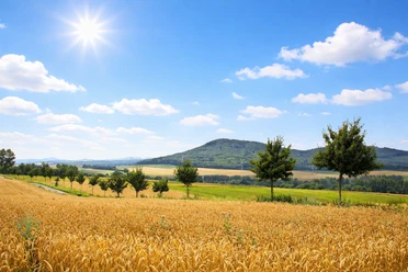 Panoramablick auf den Schöneberg