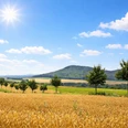 Panoramablick auf den Schöneberg