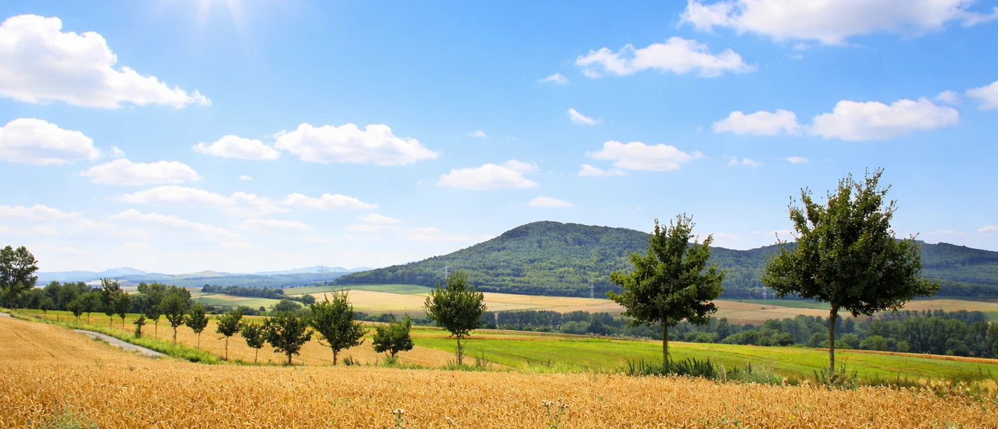 Panoramablick auf den Schöneberg
