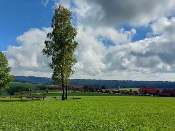 Liegewiese Igelsberg