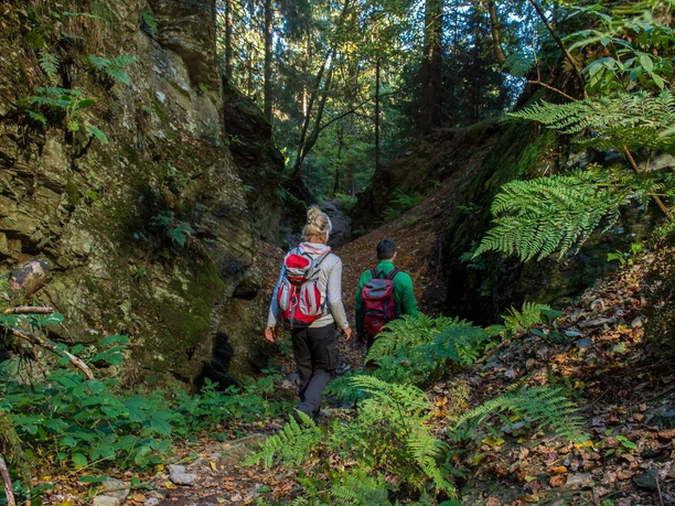 Traumhafte Pfad auf dem Kahlen Asten Steig