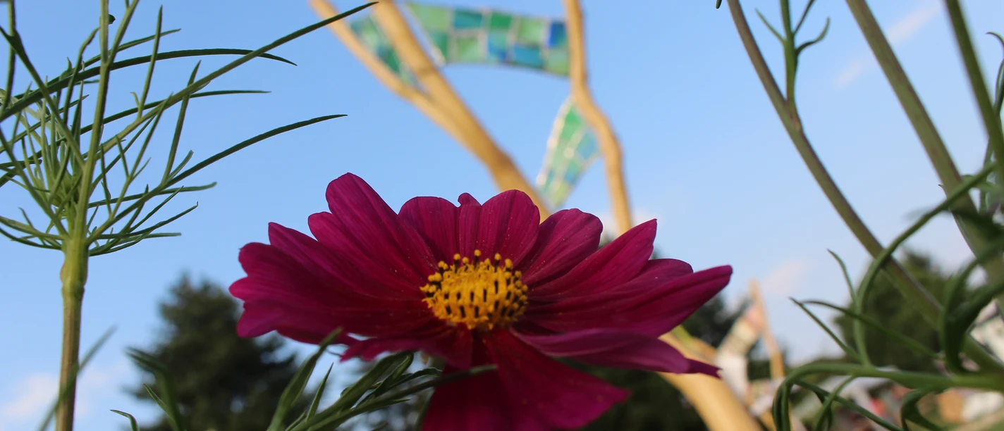 Garten Hassebrock mit Glasarbeiten