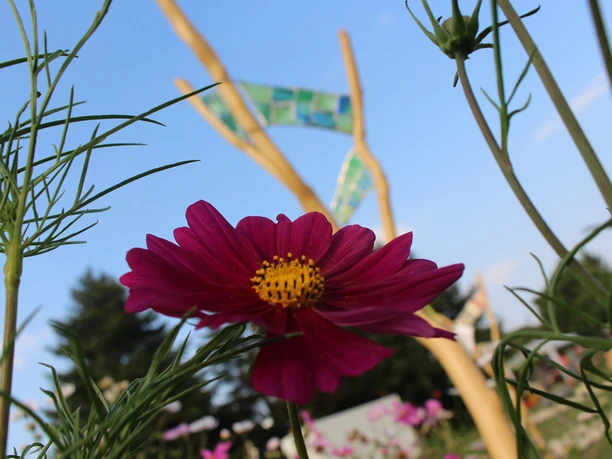 Glasobjekte zwischen Blumenbeeten im Garten von Claudia Hassebrock
