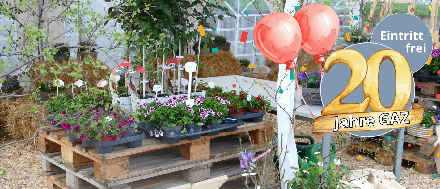 2026-TdoT - Veranstaltungskalender Südheide.jpg