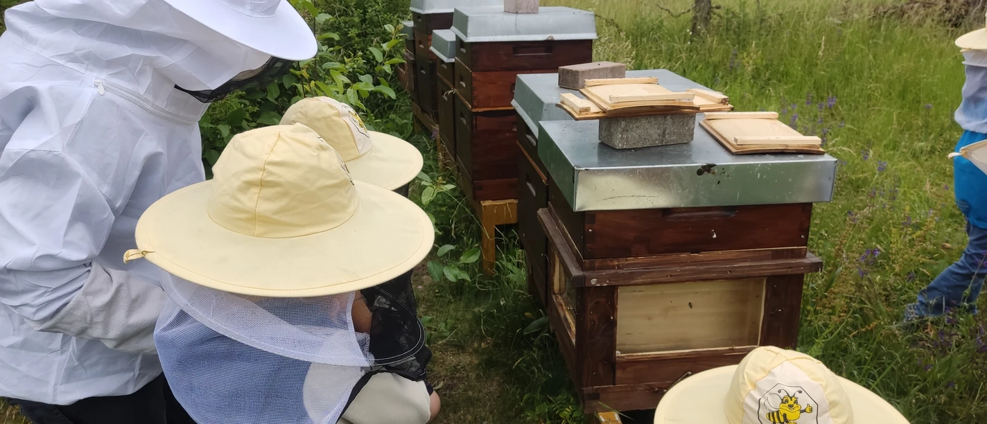 Das Grüne Klassenzimmer im Volkspark Potsdam