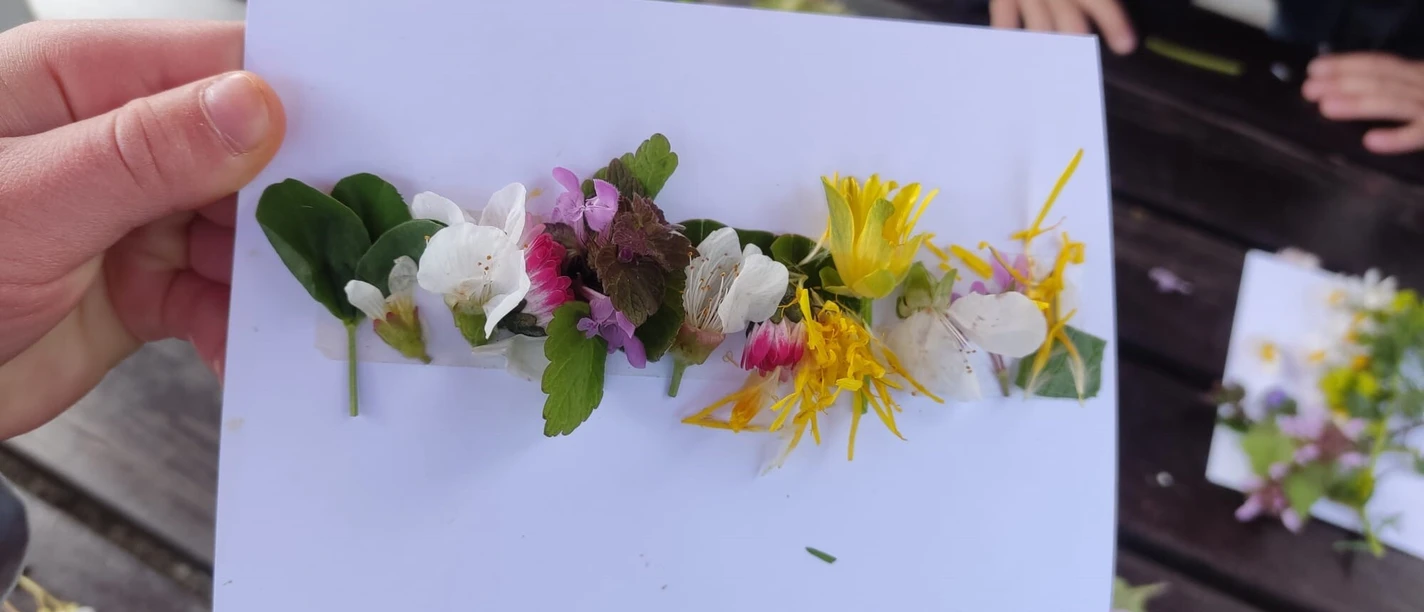 Das Grüne Klassenzimmer im Volkspark Potsdam