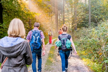 Wandern im Teutoburger Wald, M. Wallenfang