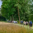 Wandern im Kreis Gütersloh, Foto: M. Wallenfang