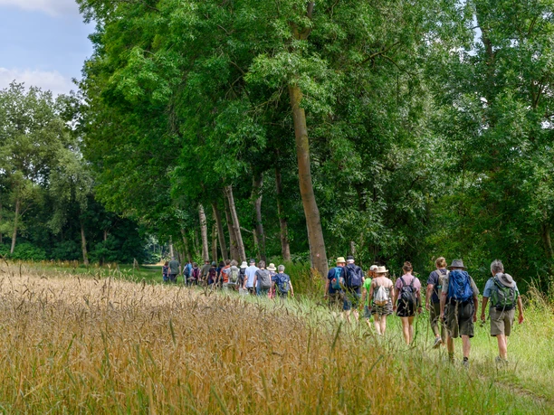 Wandern im Kreis Gütersloh, Foto: M. Wallenfang