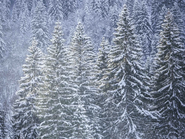 ATS-Wintershootings