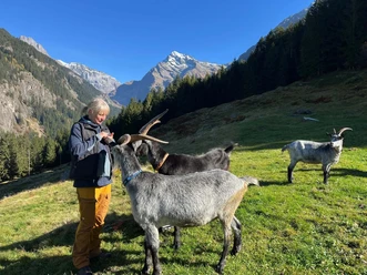 ZiegenMaderanertal 2026