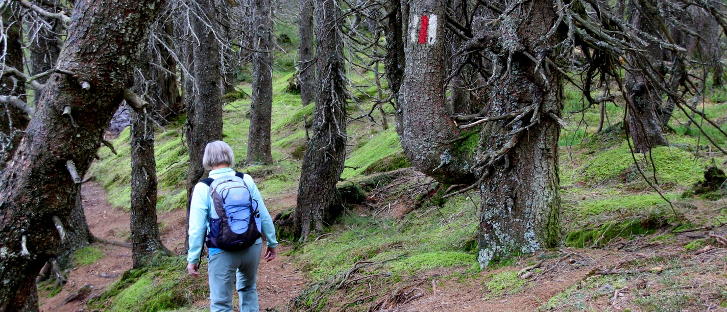 © UNESCO Biosphäre Entlebuch / Richard Portmann