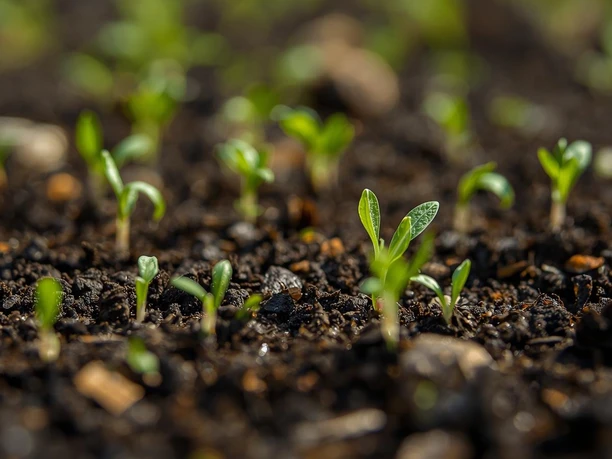 Pressebild_Frühlingsfit ins Gartenjahr_mit Unterstützung durch KI
