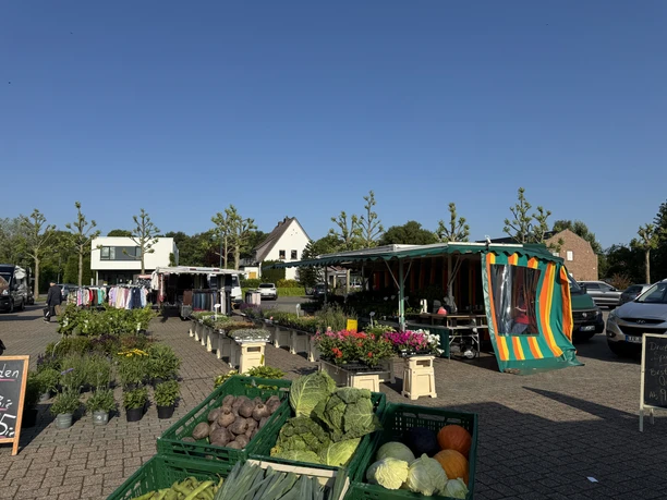 Wochenmarkt im Juni Wochenmarkt bei Sonne: Frisches Gemüse in Kisten, dahinter ein bunter Blumenstand.