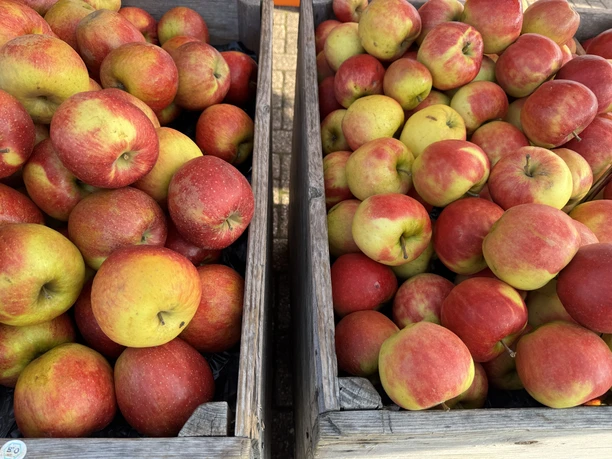 Wochenmarkt Zwei Holzkisten voller frischer, rot-gelber Äpfel auf dem Wochenmarkt.