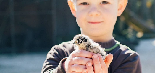 selected_selected_selected_csm_cropmiddle_Vogelpark-Heiligenkirchen-Junge-mit-Kueken-klein-Foto-VanessaWill_2e9e5e7a49.jpg