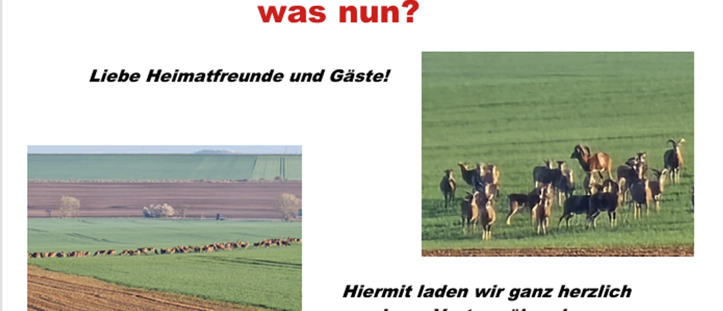 Screenshot 2026-03-16 111540.png