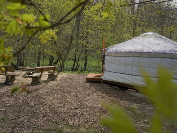 Waldreise Themenunterkünfte in Wendefurth - Jurte Außenansicht Waldreise Themenunterkünfte in Wendefurth - Jurte Außenansicht