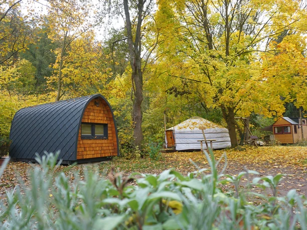 Waldreise Themenunterkünfte in Wendefurth