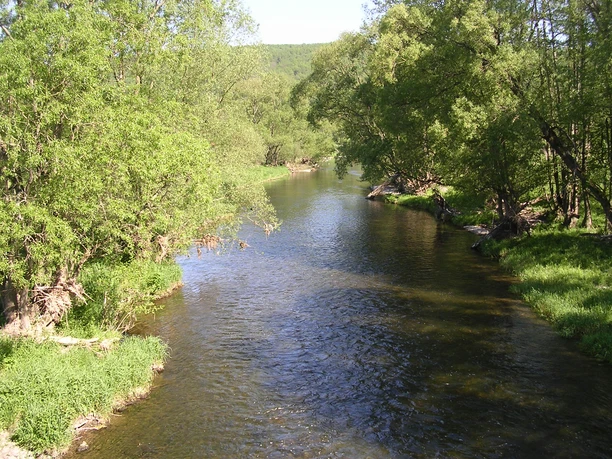Natur pur: Ein Tag an der Eder Sie sehen die Eder, wie sie ruhig durch eine üppige Landschaft fließt und von dichten, hellgrünen Laubwäldern gesäumt wird.