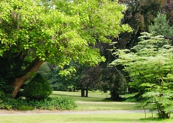 Yoga im Bürgerpark_OSB_B Kohn.jpg