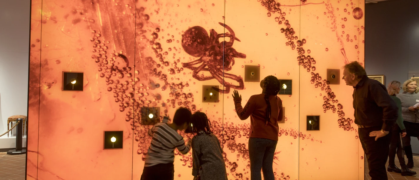 Ostpreußisches_Landesmuseum_Bernsteinabteilung.jpg Kinder und Erwachsene betrachten eine große, leuchtende Bernsteinwand mit Inklusen im Museum.