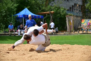Pixabay_piundco-sports-4119573_1280_Ringkampf_Borgholzhausen.jpg
