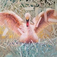 Kunstverein - Schwanensee Sabine Koschier.jpg Kunstmalerei eines Schwans von Sabine Koschier