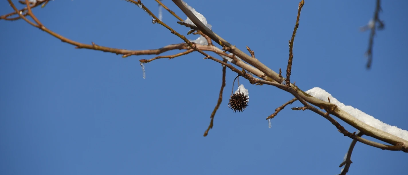 DSC_3292-k.JPG