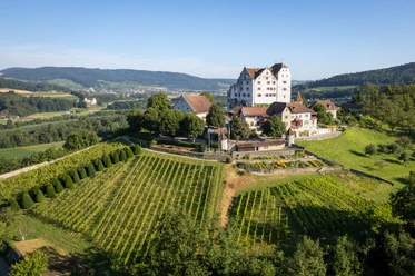 Schloss Wildegg © Foto: Museum Aargau