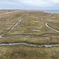 Salzwiesen Landschaft auf Juist.jpg Salzwiesen Landschaft auf Juist