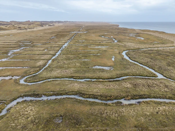 Salzwiesen Landschaft auf Juist.jpg Salzwiesen Landschaft auf Juist