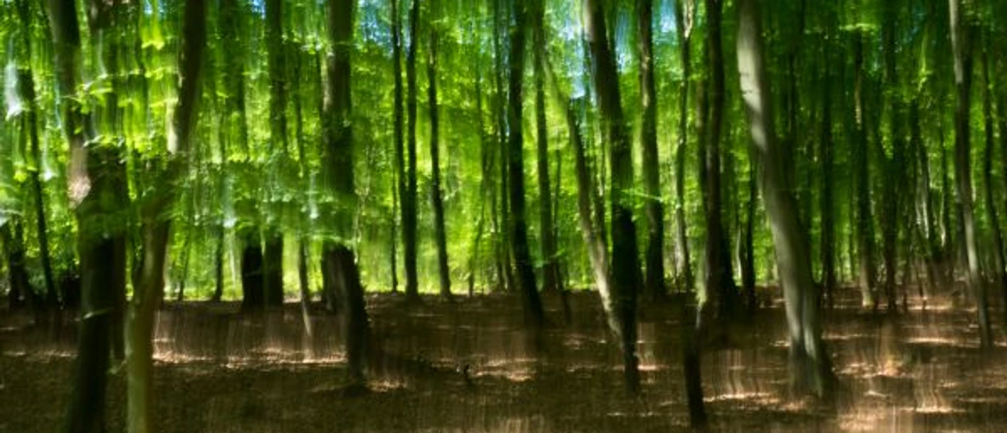 Darsswald-Prerow-2017_600